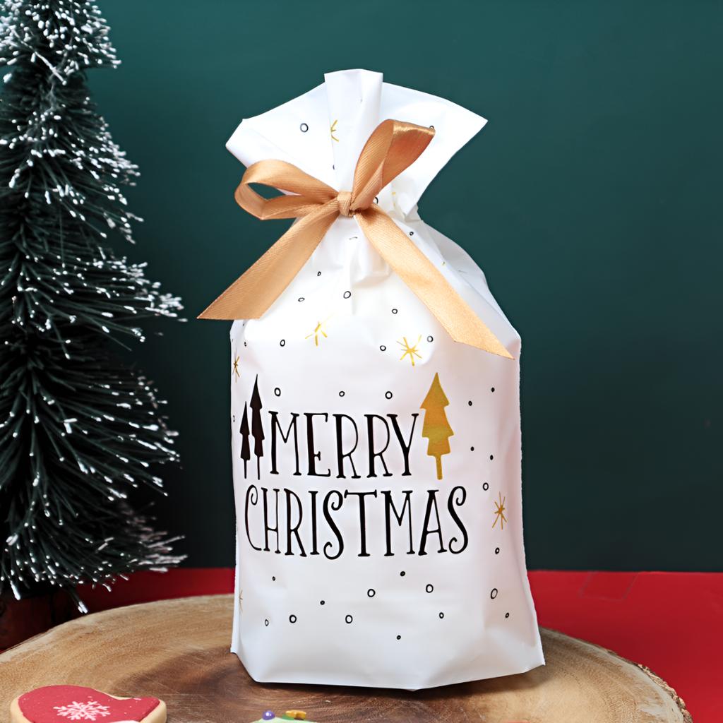 ถุงของขวัญ พร้อมโบว์ ลายคริสต์มาส 06 ขนาด 15x6x23 ซม.